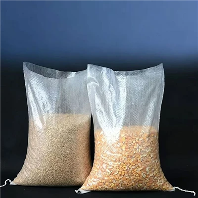 পিপি স্বচ্ছ ব্যাগ